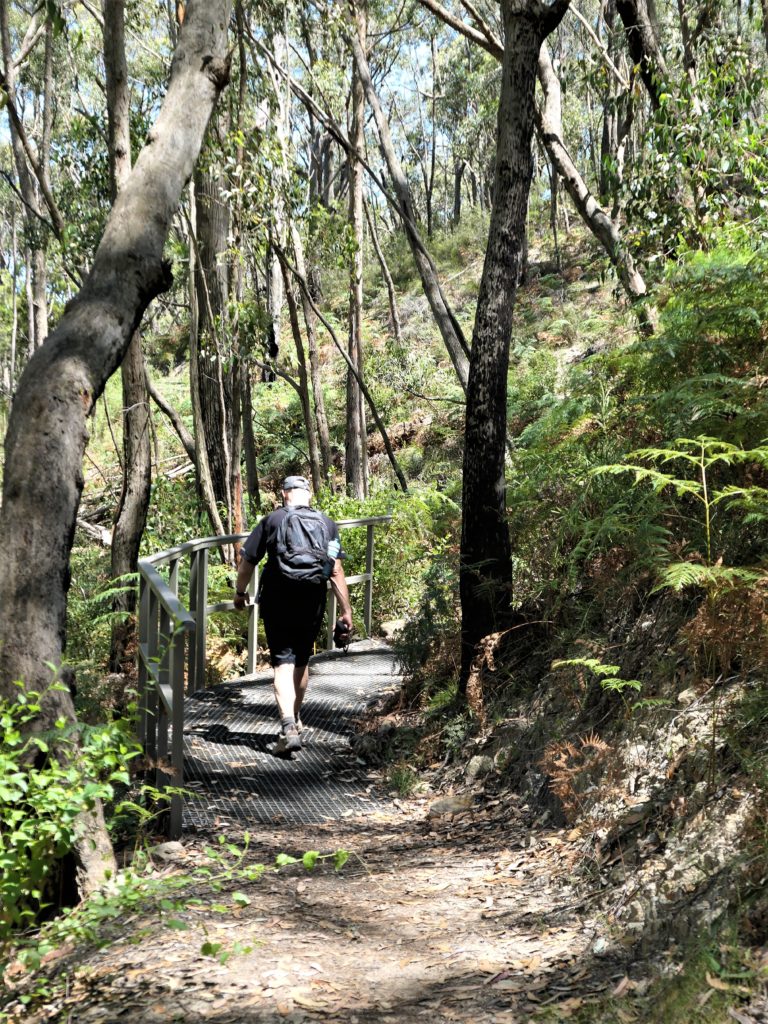 Mount Lofty Birriee Track, Aussie Trail Walker, Hiking Trails Adelaide